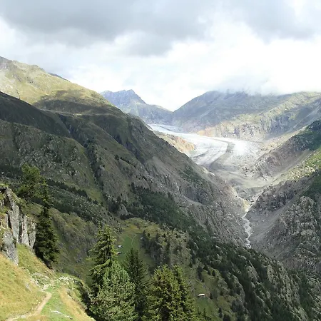 Farfalla Апартаменты *